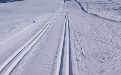 Längdskidåkning i Lofsdalen (11 fina skidspår att åka längdskidor på)