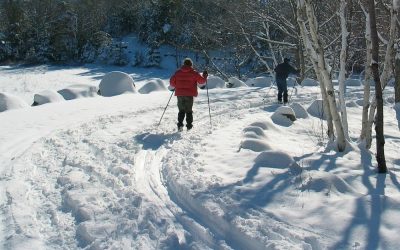 Längdskidåkning i Västerås (8 fina ställen att åka längdskidor på)