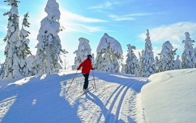 Åka längdskidor i Dalarna (13 bästa ställena för längdskidåkning)