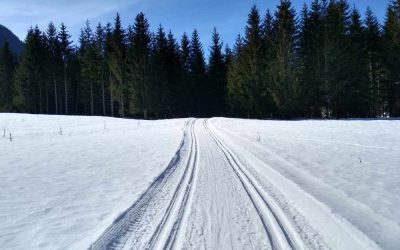 Åka längdskidor i Sälen (7 bästa ställena för längdskidåkning)