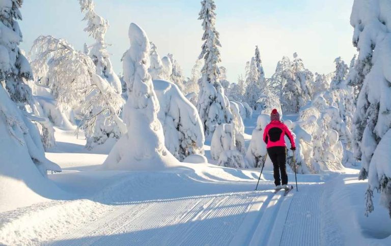 åka längdskidor första gången