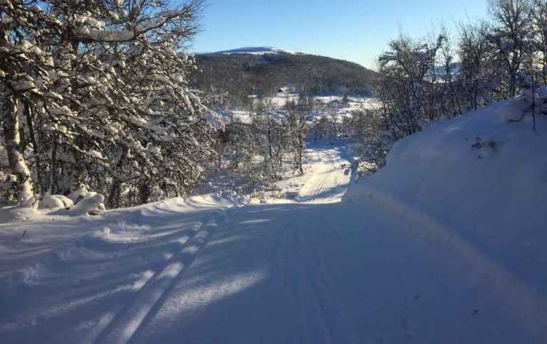 åka längdskidor i fjällen