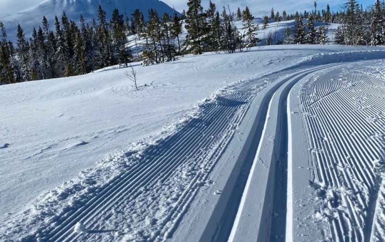 åka längdskidor i vemdalen