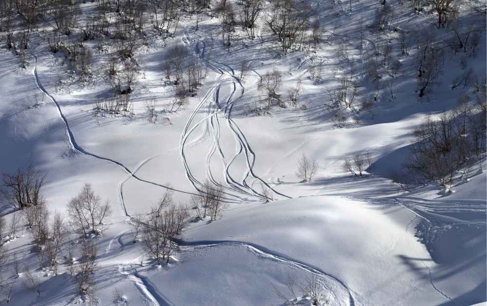 åka skidor i pudersnö